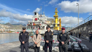 Pol&iacute;cia espanhola apreende quase 10 toneladas de coca&iacute;na em navio cargueiro que partiu do Brasil