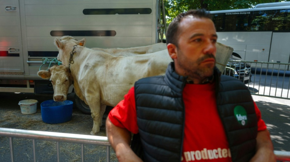 Europeus se preocupam com poss&iacute;vel impacto do acordo UE-Mercosul na agricultura