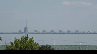 'Tra opzioni peacekeer in Ucraina centrale lungo il Dnepr'
