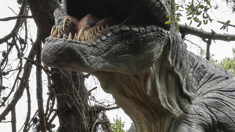 Borse in pelle di T-rex, la sfida biotech che punta al lusso