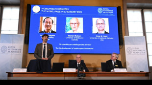 Trio wins chemistry Nobel for new form of molecular architecture