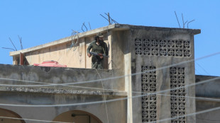 Syrie: Chareh transf&egrave;re aux druzes le maintien de la s&eacute;curit&eacute; &agrave; Soueida