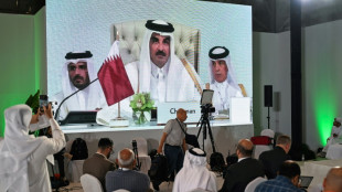 Arabische und muslimische Staaten fordern "&Uuml;berpr&uuml;fung" von Beziehungen zu Israel