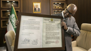 Somalilandia quiere ofrecer sus minerales y bases militares a EEUU