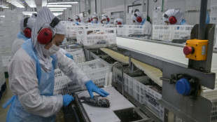 Emprego no Brasil resiste novamente às tarifas dos EUA