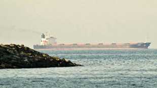 UN shipping body urges 'safe maritime corridor' in Gulf