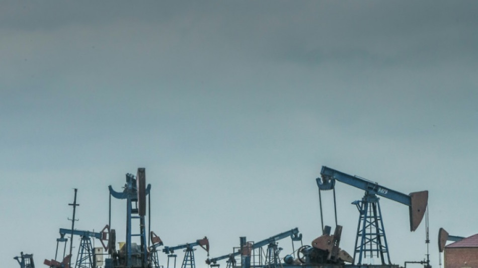 P&eacute;trole: l'Opep+ reste prudente et augmente modestement sa production