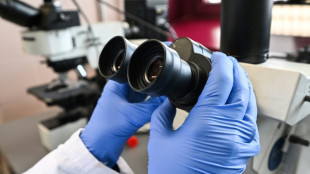 L'herp&egrave;s facial, un virus peut-&ecirc;tre vieux de 5.000 ans