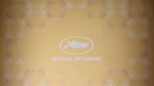 Llamamiento a la huelga de un colectivo de trabajadores del Festival de Cannes