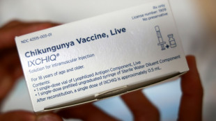 Chikungunya &agrave; La R&eacute;union: "&eacute;pid&eacute;mie g&eacute;n&eacute;ralis&eacute;e et majeure", qui continue de progresser