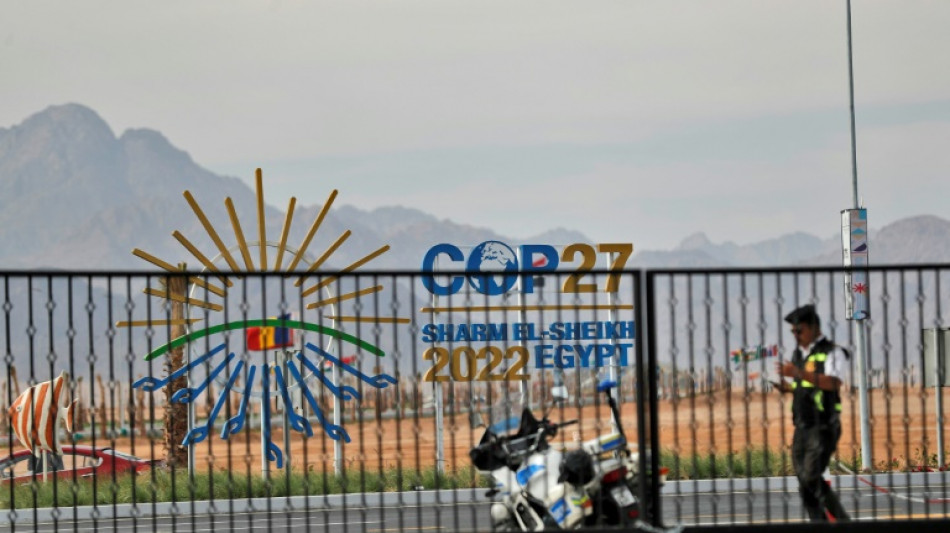 &iquest;Qu&eacute; es una COP?