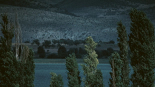 Reaching for the moon, la voce affascinante di Elina Duni