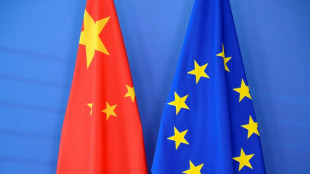 EU business lobby head says China rare earths snag persists
