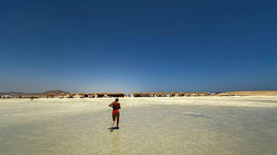 Tourism deal puts one of Egypt's last wild shores at risk