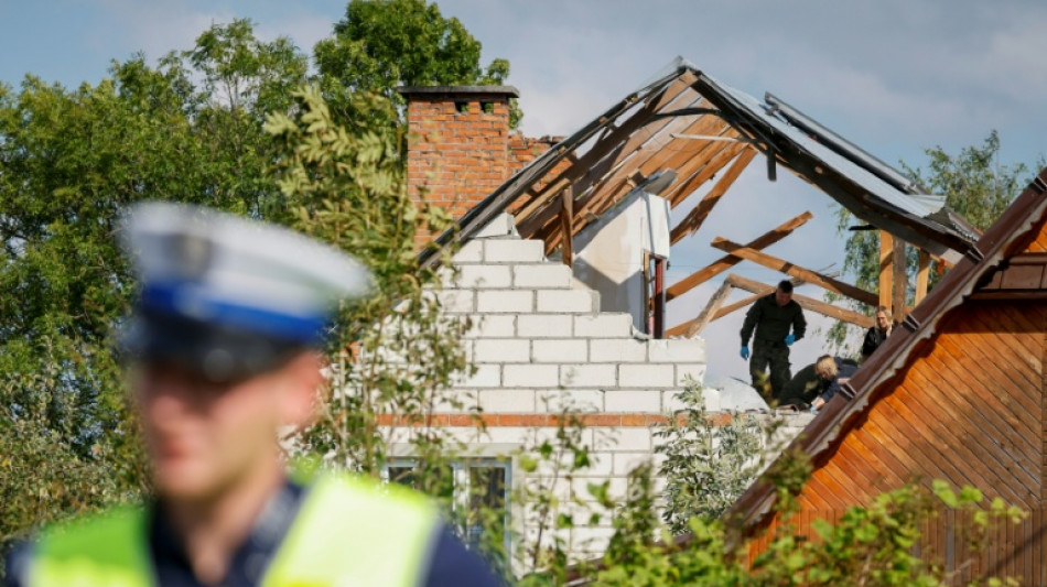 Luftfahrtindustrie schlägt Gründung von nationaler Task-Force "Drohnenabwehr" vor