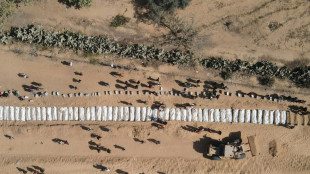 Estados Unidos defiende su plan para desarmar a Ham&aacute;s y reconstruir Gaza