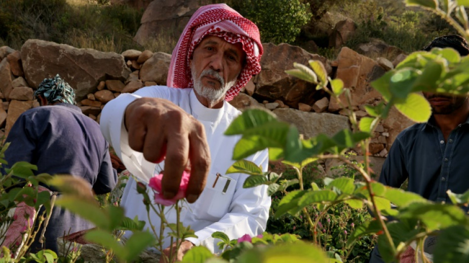 Saudi 'city of roses' offers fragrant reminder of desert's beauty
