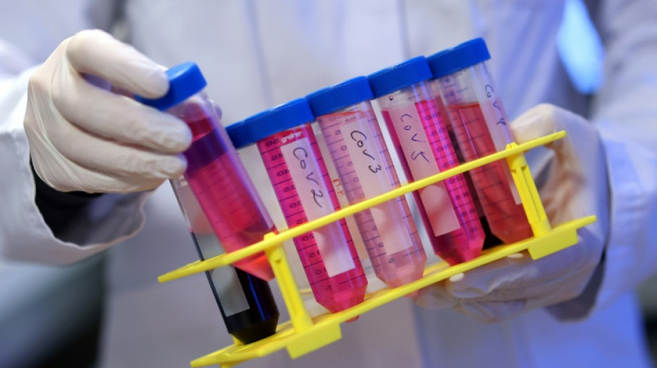 Vaccin&eacute; 217 fois contre le Covid sans effet secondaire: le cas d'un Allemand &eacute;tudi&eacute; par des scientifiques