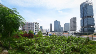 Les toits v&eacute;g&eacute;talis&eacute;s: une solution pour r&eacute;guler les eaux de pluie