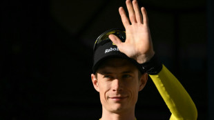 Vingegaard in Topform: "St&auml;rker als je zuvor"