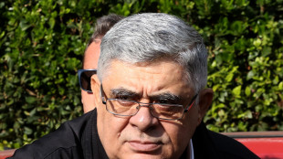 Grecia: il leader di Alba Dorata pu&ograve; uscire di prigione