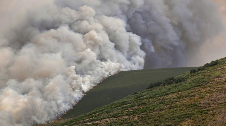 Spain PM says planning for deadly wildfires 'clearly insufficient'