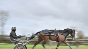 Le champion du monde du trot Idao de Tillard se qualifie pour l'Am&eacute;rique 