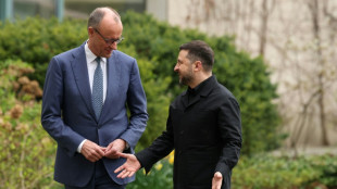 Un sommet germano-ukrainien avec la coop&eacute;ration militaire en toile de fond