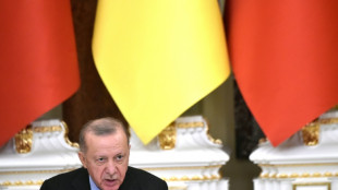 Erdogan kritisiert Nato-Partner für Vorgehen in Ukraine-Krise