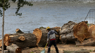 La calidad del agua del Sena mejora, pero el alto caudal obliga a Par&iacute;s-2024 a adaptarse