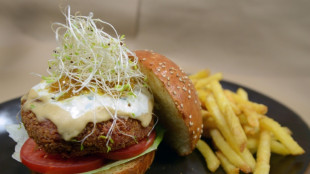 Veggie-Schnitzel: Agrarminister Rainer will sich gegen EU-Namensverbot einsetzen