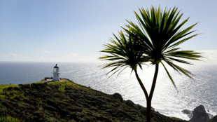 Nouvelle-Z&eacute;lande: la mer se r&eacute;chauffe plus rapidement que la moyenne mondiale, selon une &eacute;tude