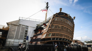 Le navire de la victoire britannique &agrave; Trafalgar attaqu&eacute; par des insectes