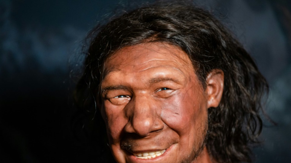 Los neandertales no se mezclaban y quiz&aacute;s eso explica su desaparici&oacute;n