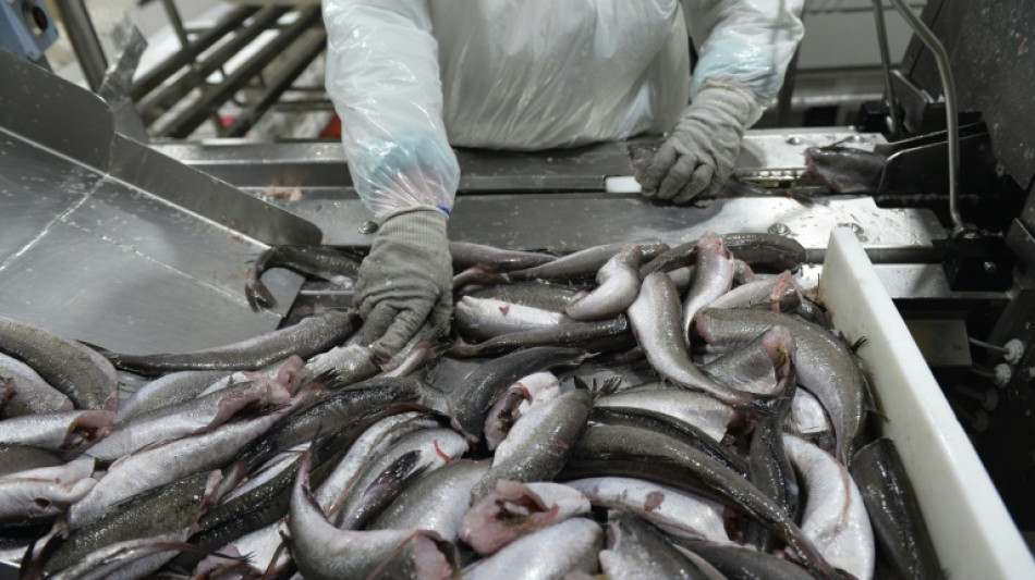 Chile aprueba aumentar cuota de captura para pescadores artesanales de la popular merluza
