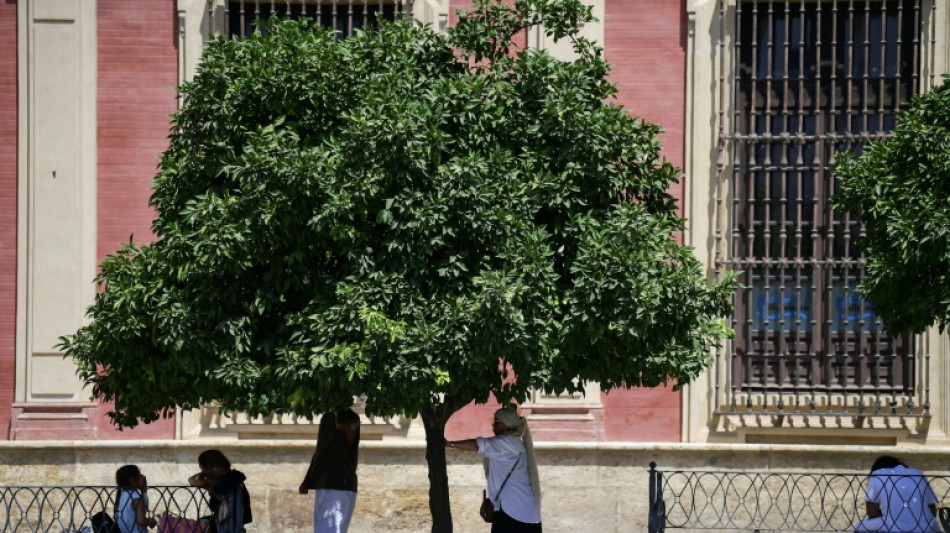 En pleine canicule, l'Europe étouffe et se bat contre les incendies
