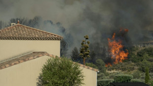 Aude: un incendie parcourt 4.000 hectares, deux bless&eacute;s, des maisons br&ucirc;l&eacute;es