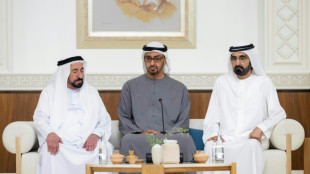 Mohamed bin Zayed, elegido presidente de Emiratos &Aacute;rabes Unidos