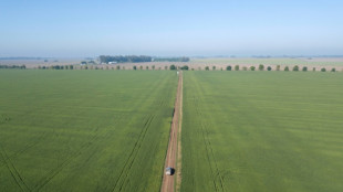 Argentina suspende la exportación de harina y aceite de soja