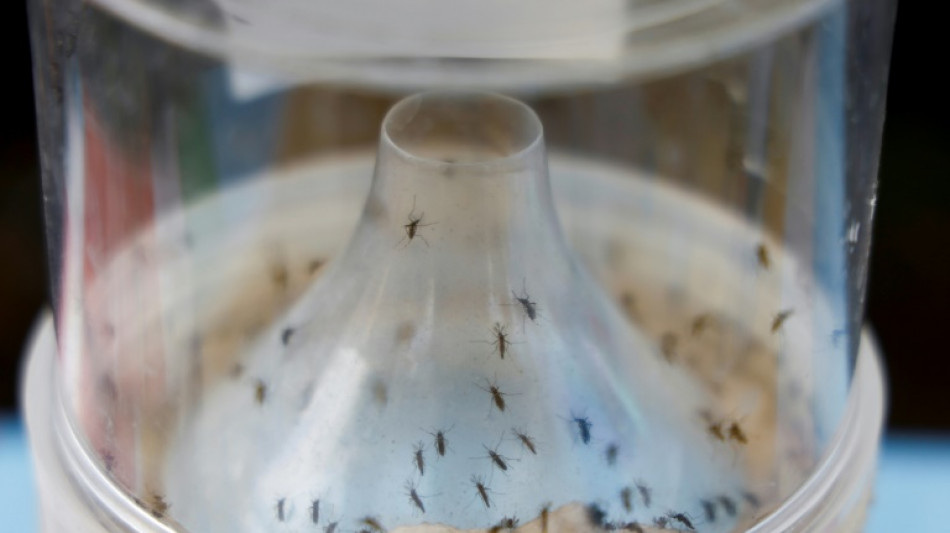 Chikungunya: recul du nombre de cas import&eacute;s de la R&eacute;union