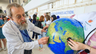 Presidência da COP28 pede que 'compromisso' pelo clima seja alcançado