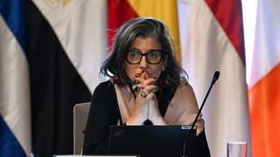 UN expert on Palestinians says US sanctions are a 'violation' of immunity