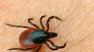 Zahl der Risikogebiete f&uuml;r durch Zecken &uuml;bertragene Hirnhautentz&uuml;ndung steigt