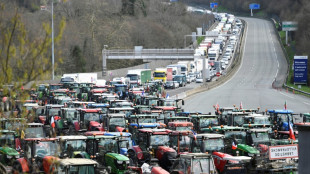 Européennes: les agriculteurs espagnols et français bloquent la frontière
