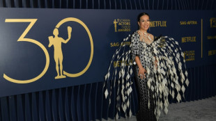 Actors bring the flair to SAG Awards red carpet