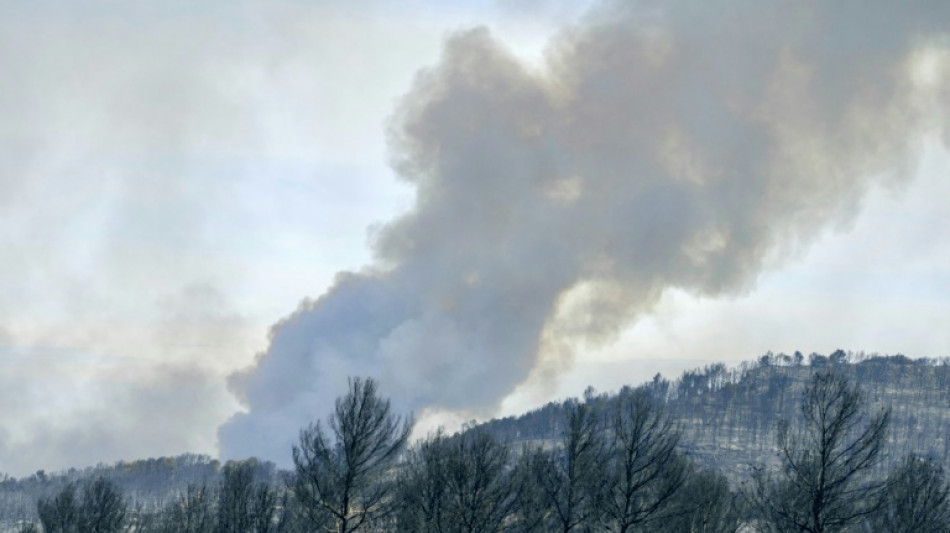 Um morto e 13 feridos em grande incêndio florestal na França