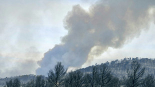 Um morto e 13 feridos em grande incêndio florestal na França