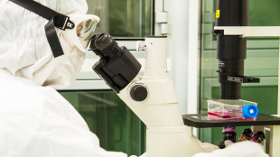 Neuroblastoma, studio Bambino Ges&ugrave; dimostra efficacia cura Car-T