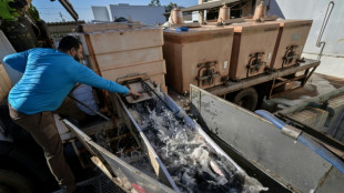 Mercosur y Canad&aacute; retoman las negociaciones de un acuerdo de libre comercio