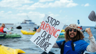 Australia arrests dozens in coal port protest